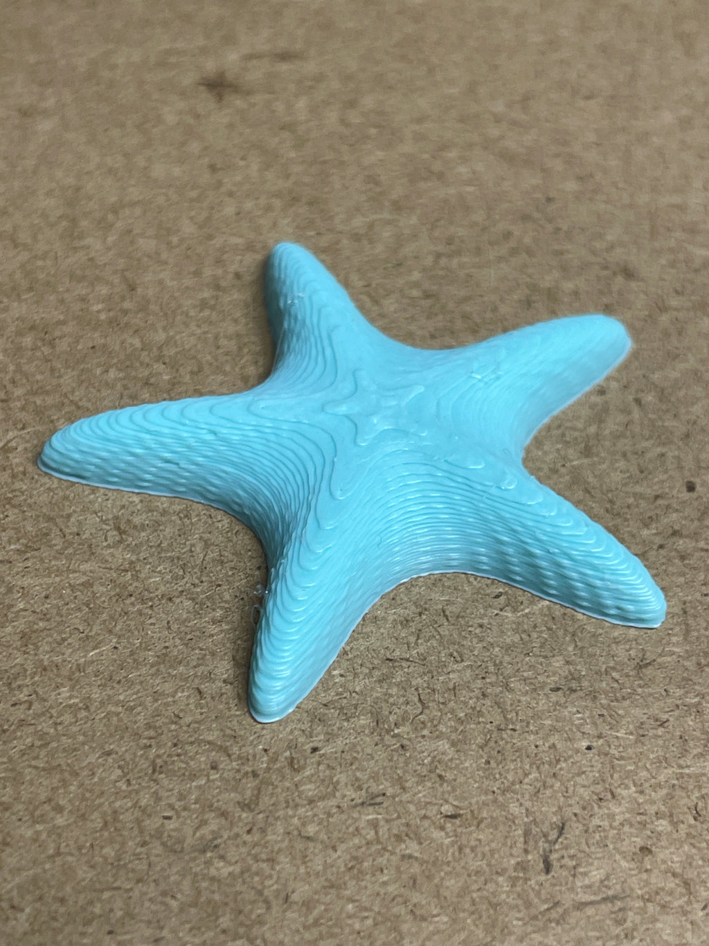 Starfish Needle Minder