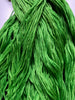 Key Lime 0193