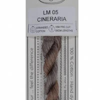 Cineraria LM05