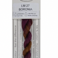 Boronia LM27