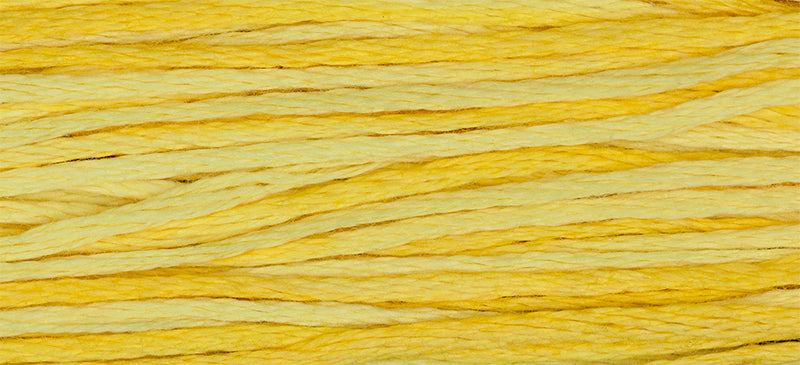 Saffron (Yellow) - 2223