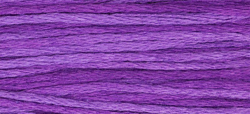 Purple Majesty (Purple) - 2329