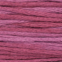 Boysenberry (Purple) - 1343