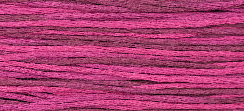 Blackberry (Purple Pink) - 1329