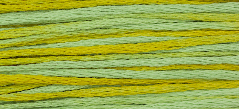 Pistachio (Blue Yellow) - 2206