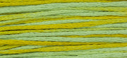 Pistachio (Blue Yellow) - 2206