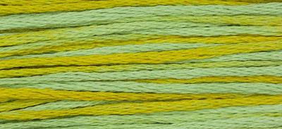 Pistachio (Blue Yellow) - 2206