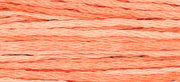 Cantaloupe (Pink) - 2243