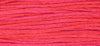 Watermelon Punch (Pink) - 2262