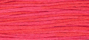 Watermelon Punch (Pink) - 2262