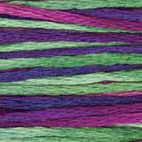 Bethlehem (Blue Purple Green Pink) - 4139