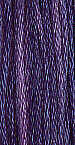 Purple Iris-0810